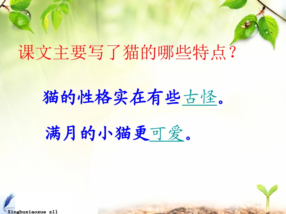 人教版四年级上册《猫》教学课件_第3页