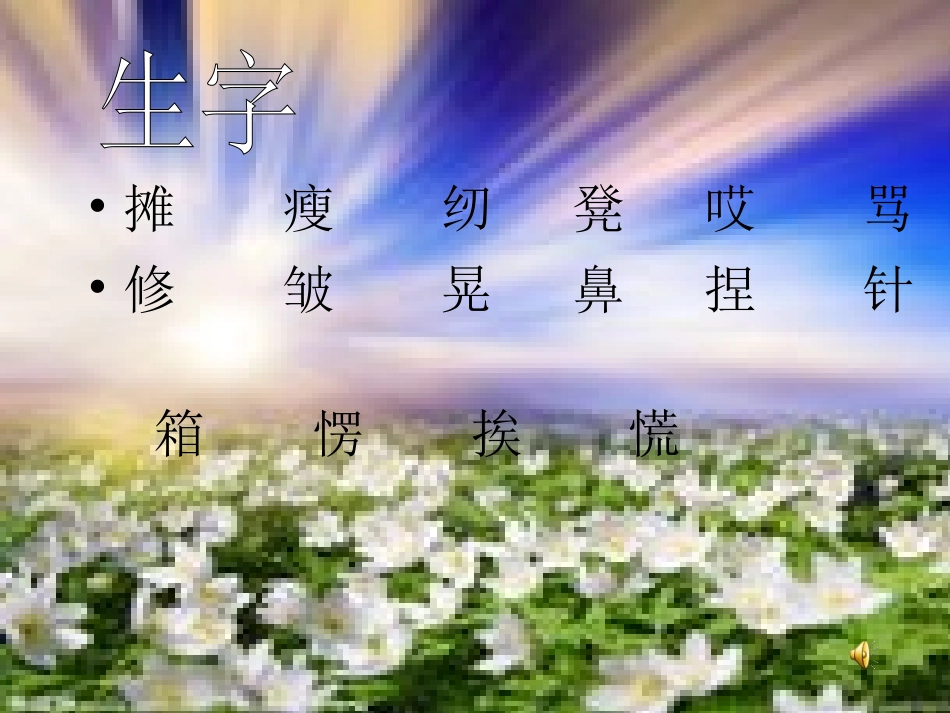 《阳光洒下来》教学课件_第2页