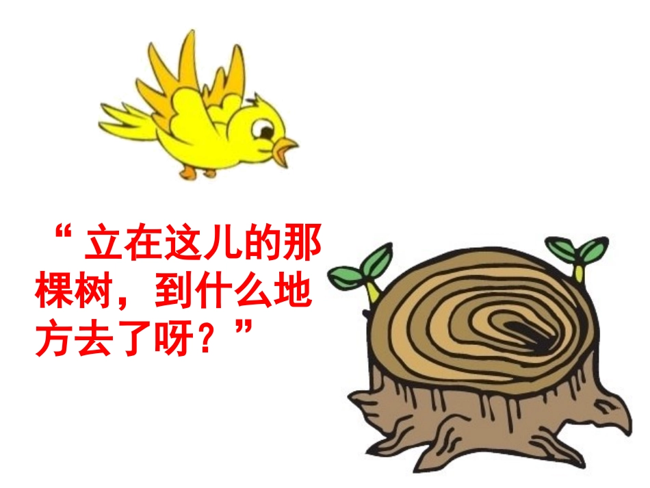 优秀教案评比_去年的树__课件_第2页