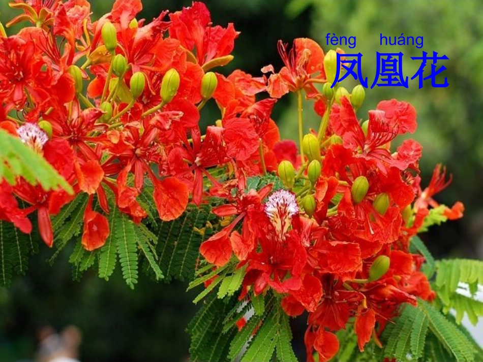 中山风泼水节_第3页