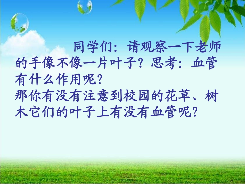 叶子上的小“血管”_第2页