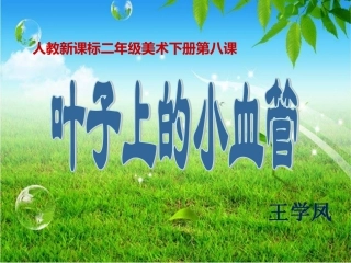 叶子上的小“血管”