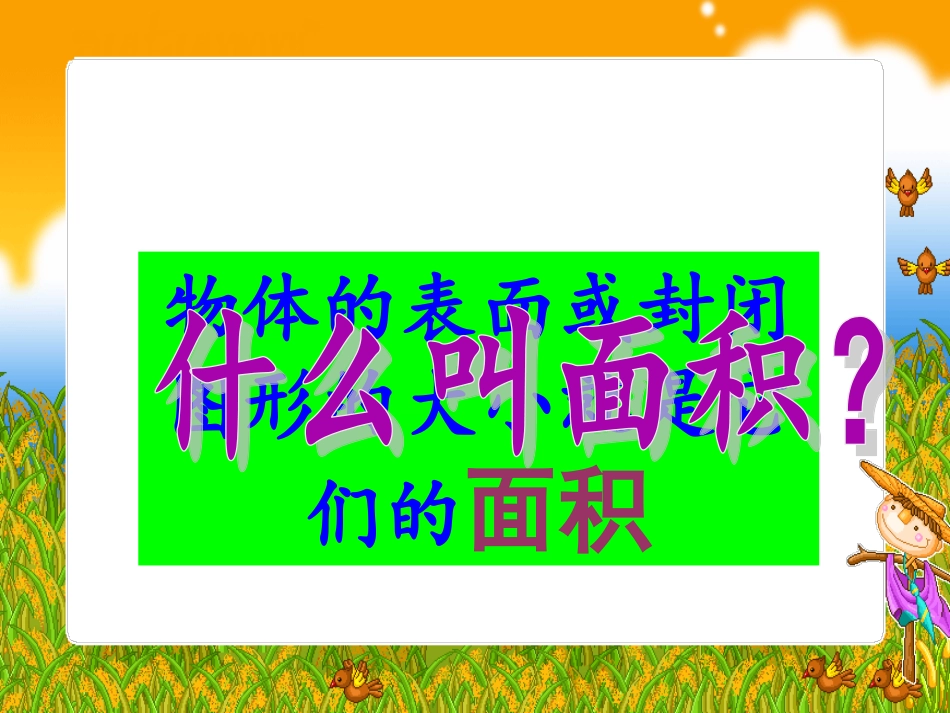 面积和面积单位PPT课件_第2页