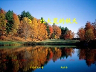 北大荒的秋天（主）