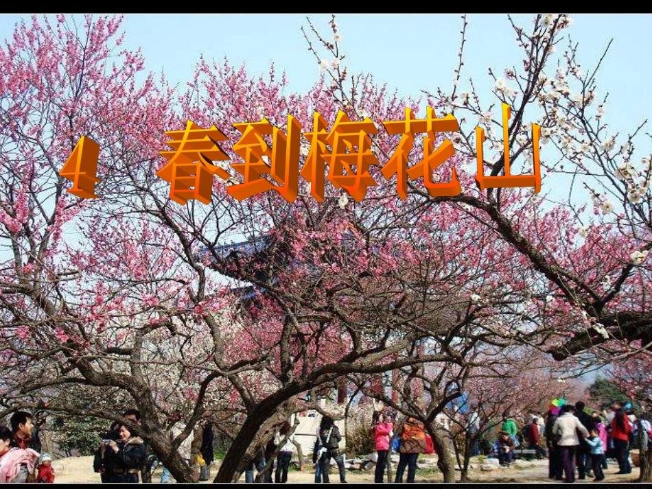 《春到梅花山》课件_第1页