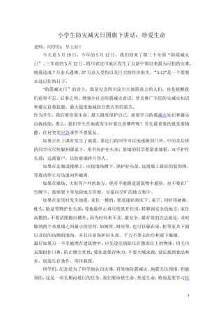 小学生防灾减灾日国旗下讲话