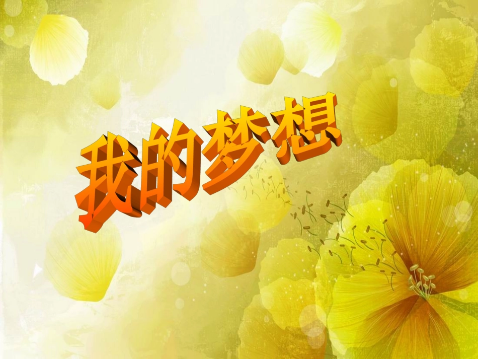 放飞梦想课件_第3页