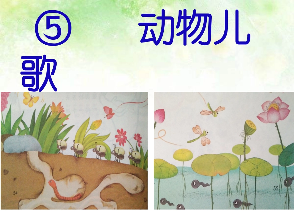 动物儿歌（何爱春）_第1页