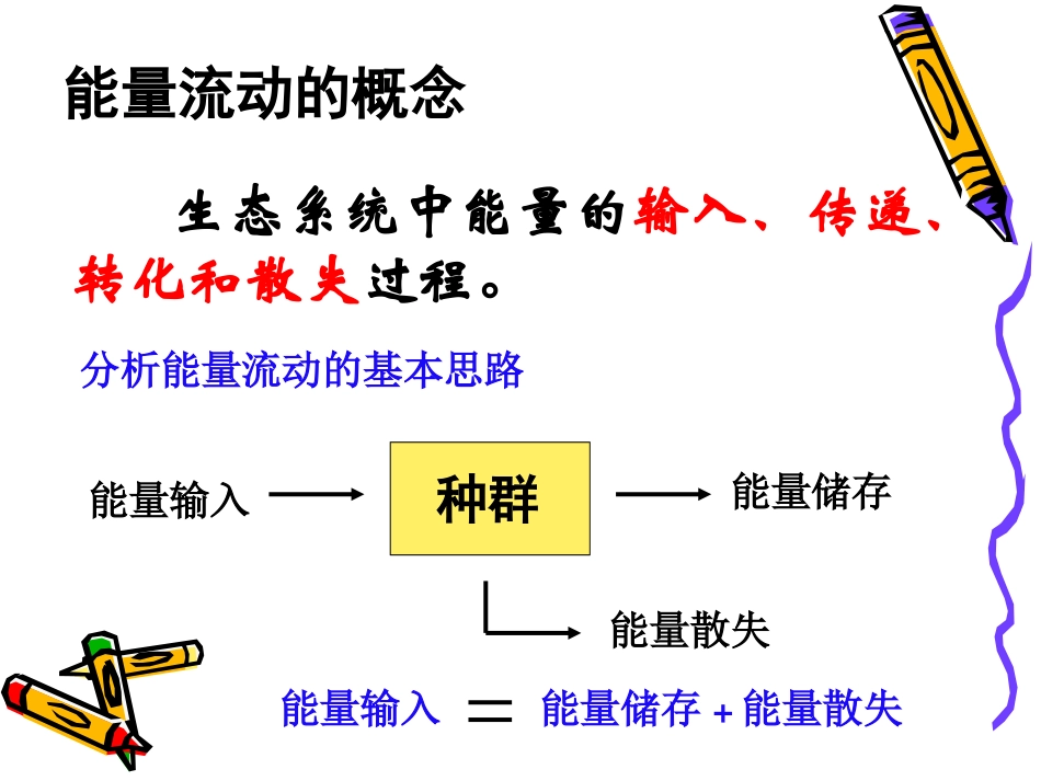 生态系统的能量流动（二中）_第3页