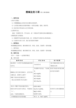 人教版九年级化学酸碱盐复习课教案