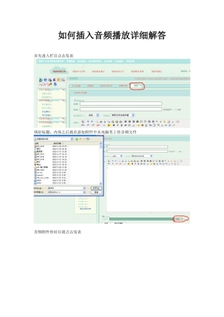 如何插入音频播放详细解答