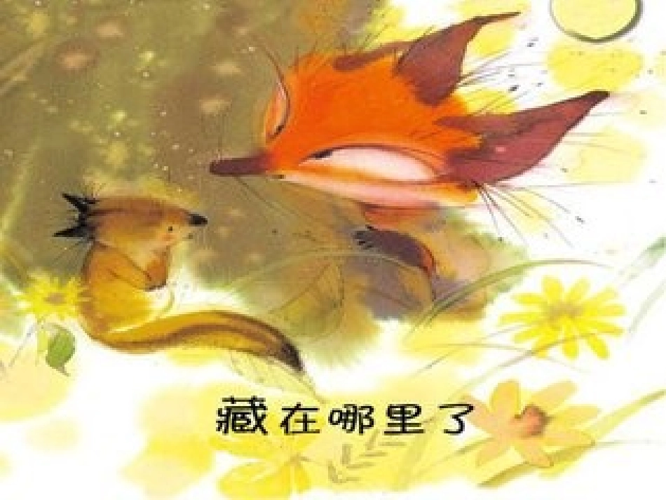 中班《藏在哪里了》_第1页