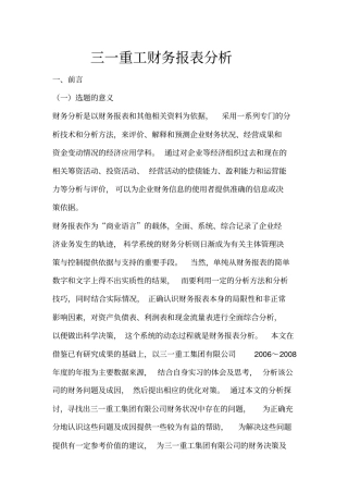 三一重工集团有限公司财务报表分析