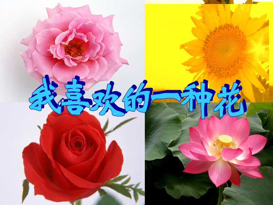 我喜欢的一种花_第2页