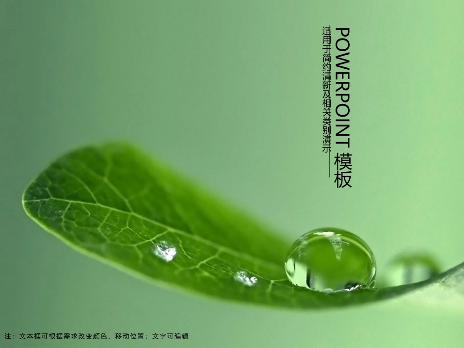 绿色小清新PPT模板_第1页