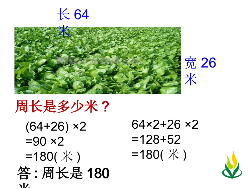 《乘法分配律》PPT课件(人教版第八册)_第2页