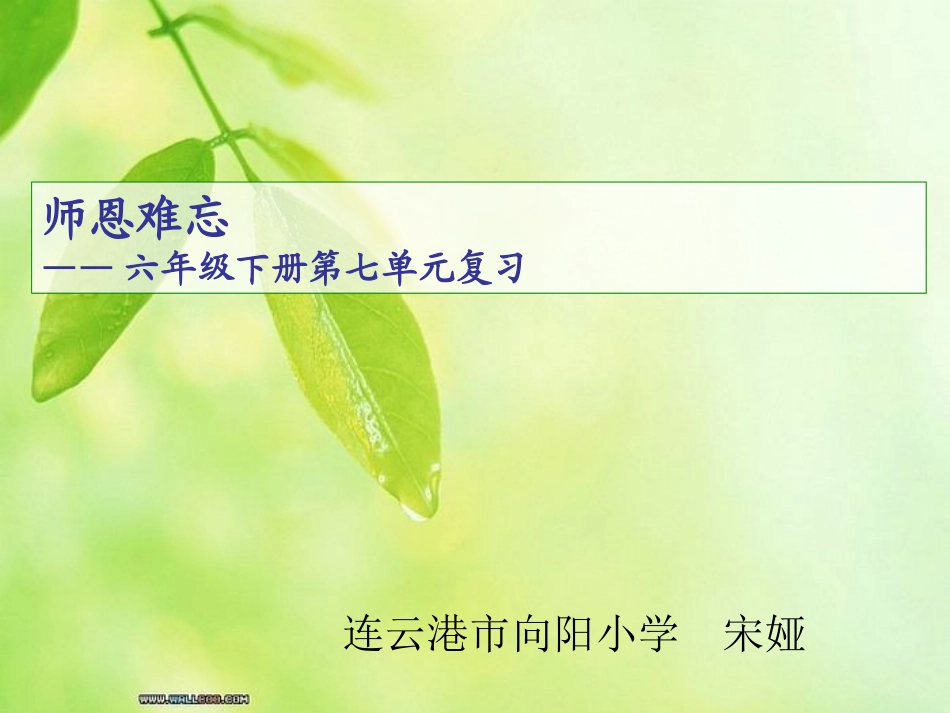 苏教版六年级下册第七单元复习课_第1页