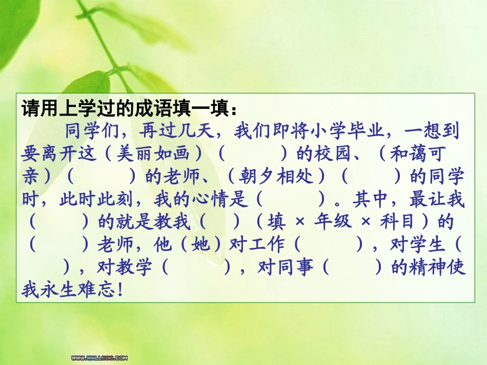 苏教版六年级下册第七单元复习课_第2页