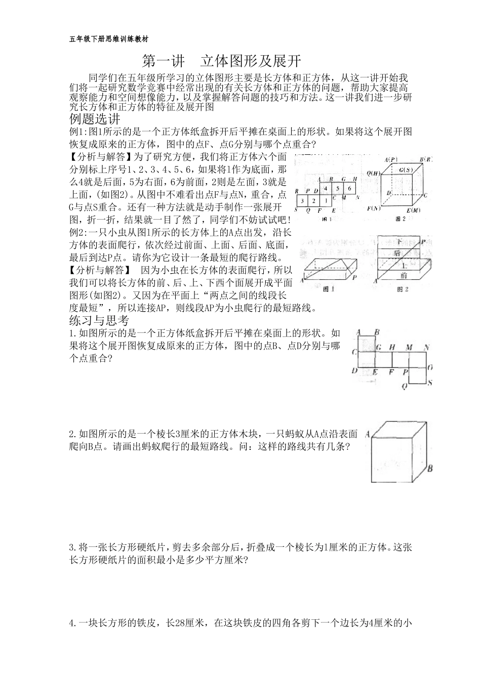 五年级下数学思维训练教材_第1页