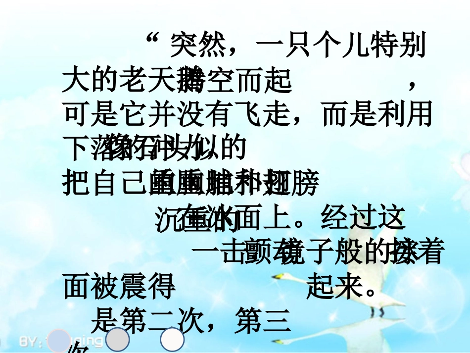 天鹅的故事-副本_第3页