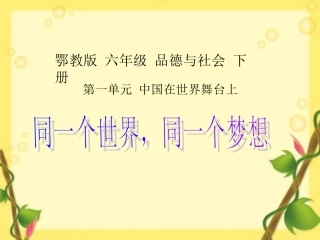 同一个世界_同一个梦想六年级品德与社会下册PPT课件