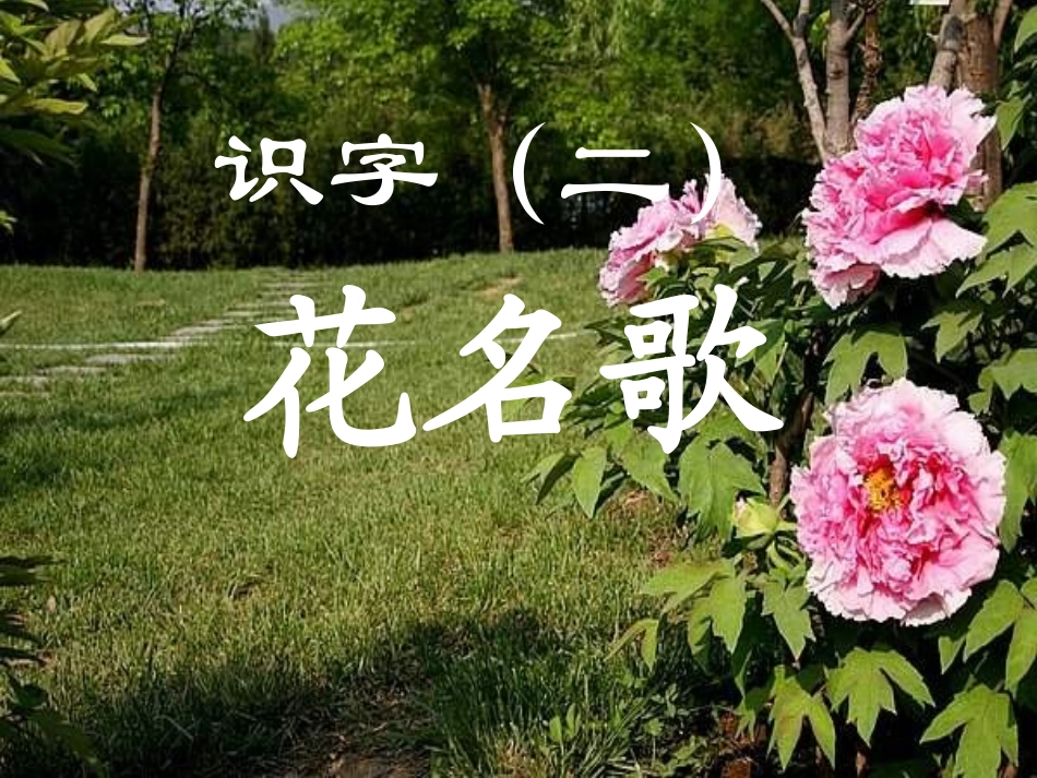 语文一下《花名歌》课件_第1页