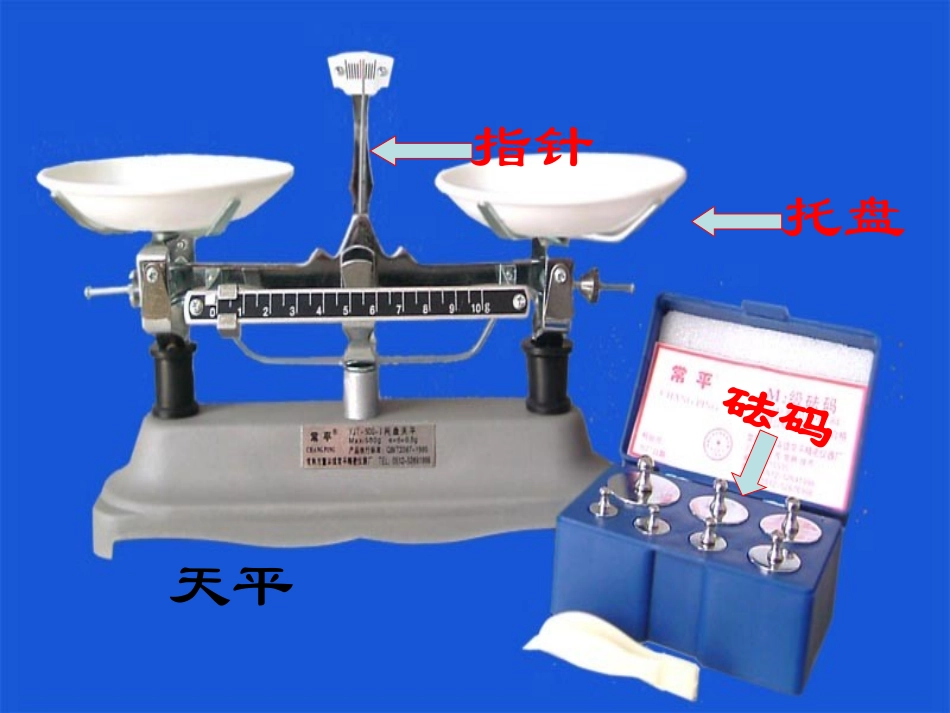 五上方程的意义李国泉_第3页