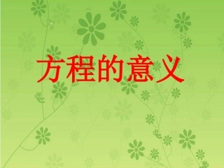 五上方程的意义李国泉