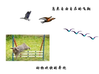 第二节细胞的能量“通货”ATP