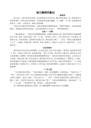 初三教师印象记