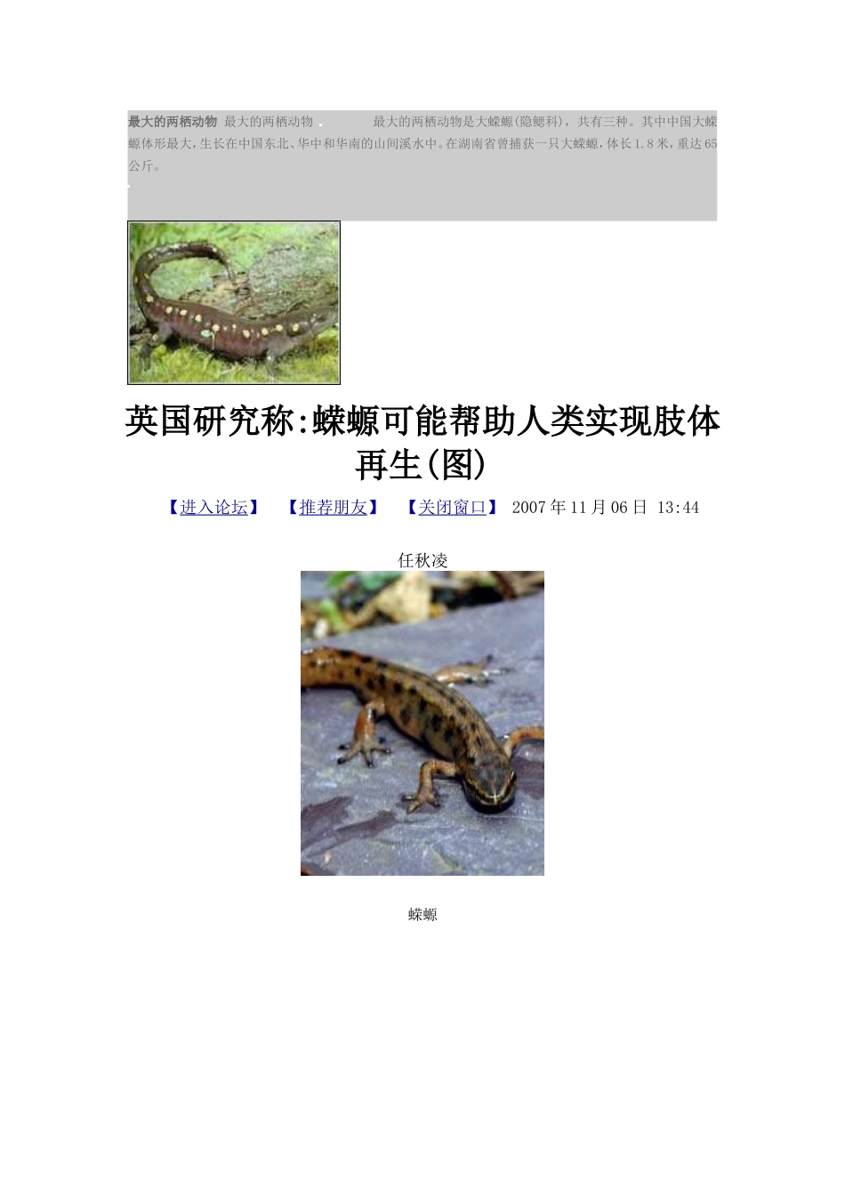最大的两栖动物最大的两栖动物_第1页