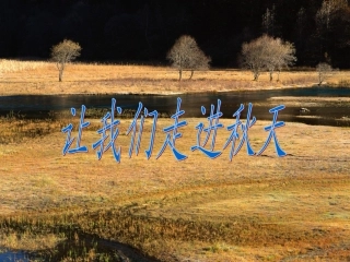 经典《-故都的秋》课件
