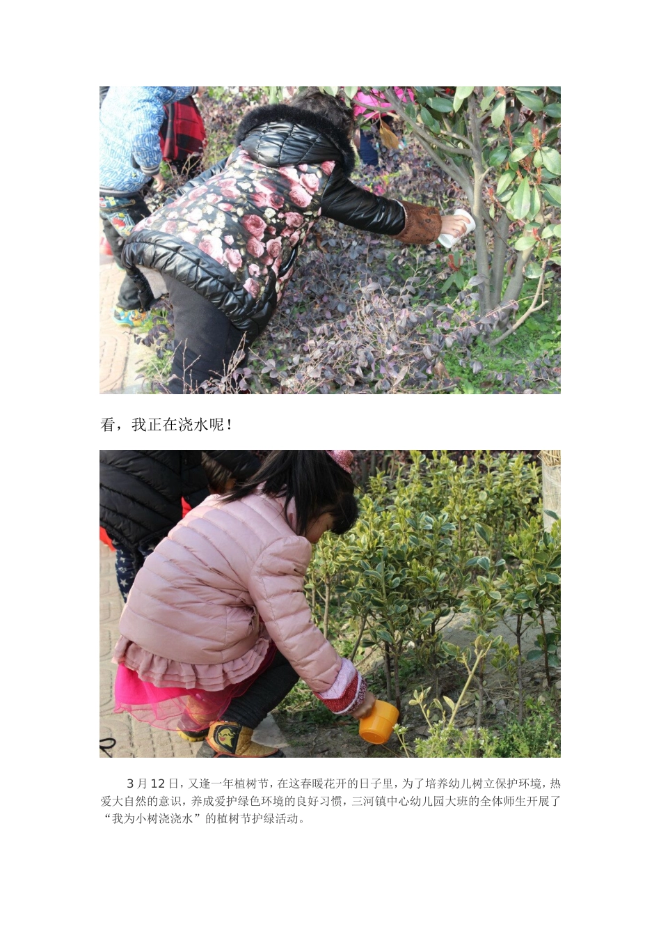 我为小树浇浇水活动方案_第3页