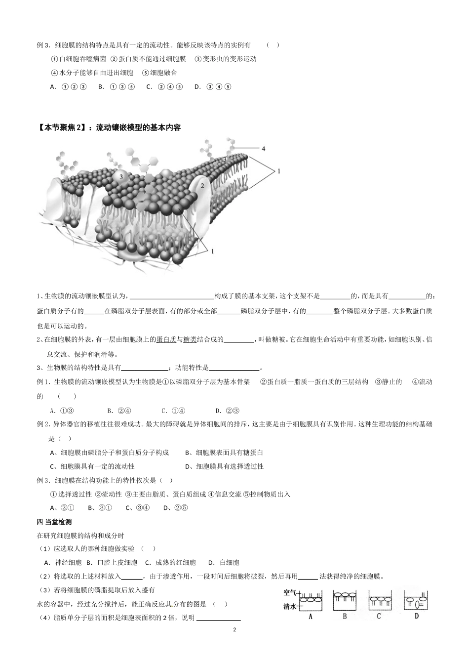 生物膜的流动镶嵌模型_导学案_第2页