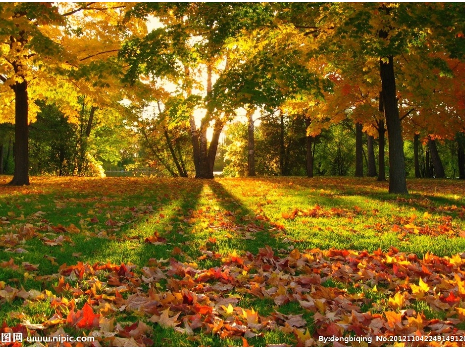 幼儿园大班儿歌秋天多么美_第1页