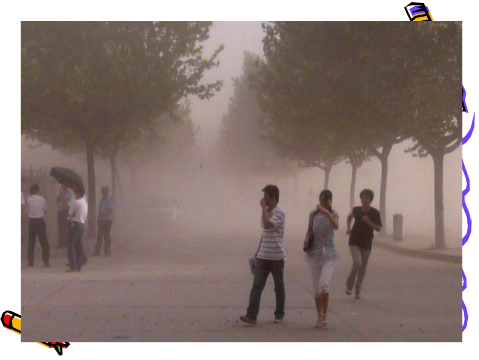 魏召静植树问题_第3页