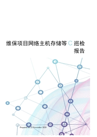 维保项目网络主机存储等巡检报告