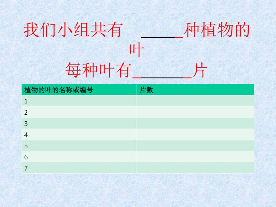 植物的叶李雷_第3页