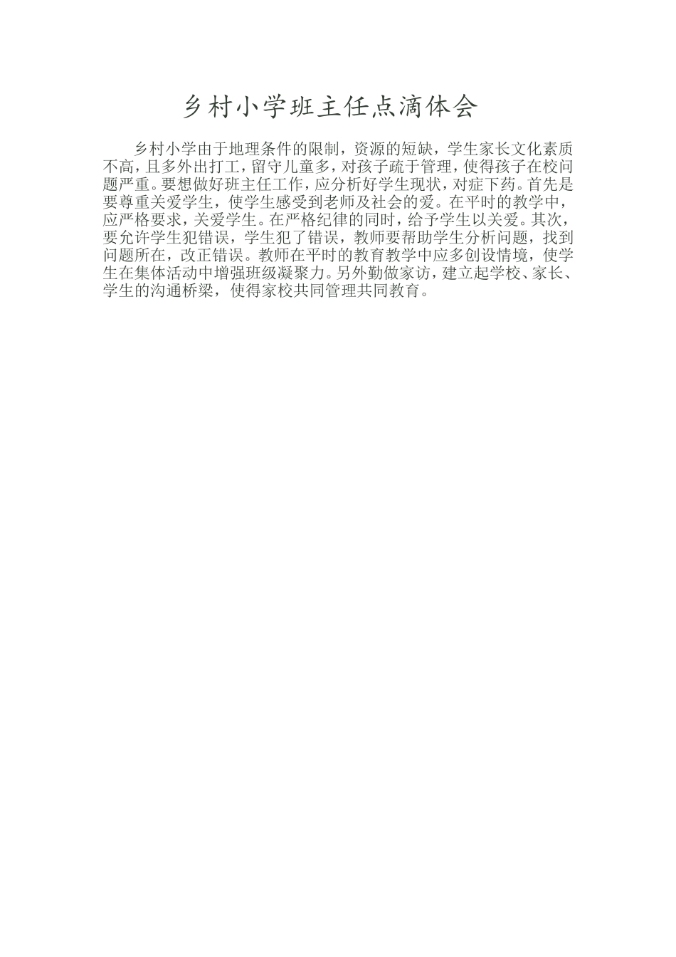 乡村小学班主任点滴体会_第1页