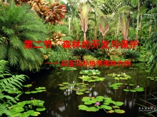 森林的开发和保护