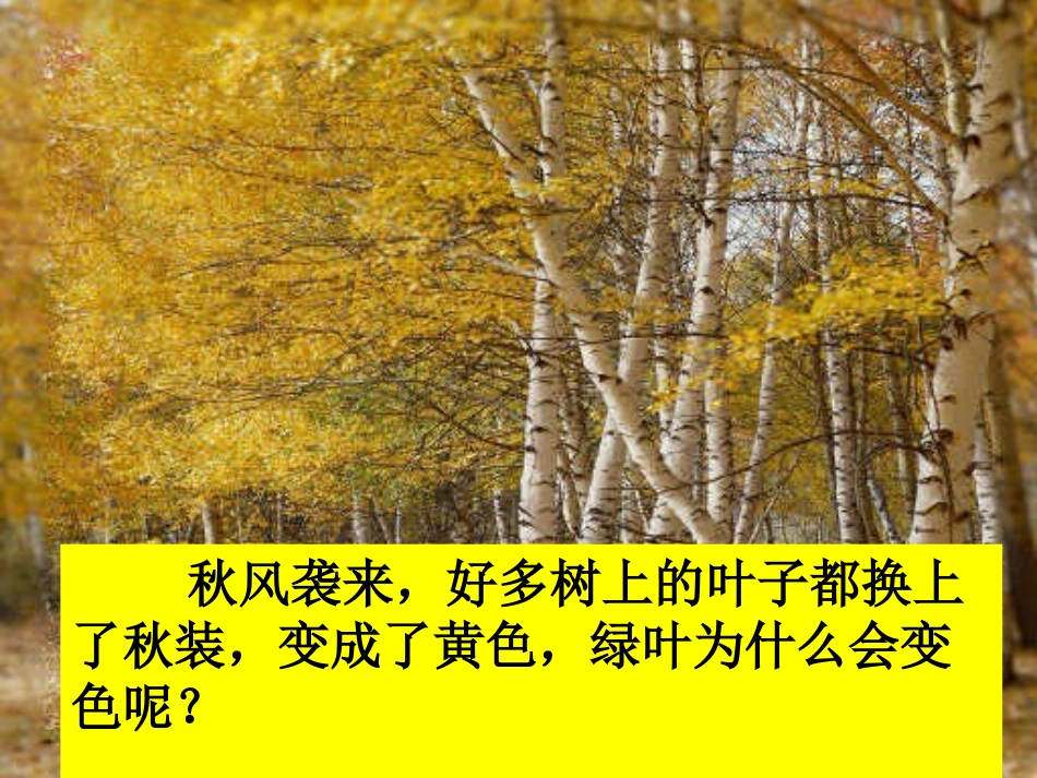 第二课地球内部运动引起的地形变化（二）_第3页