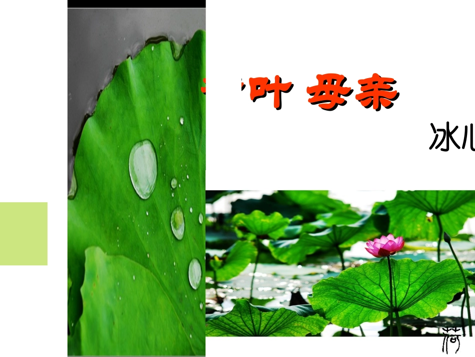 荷叶母亲课件_第2页
