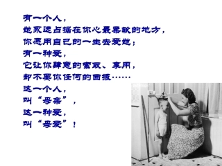 荷叶母亲课件