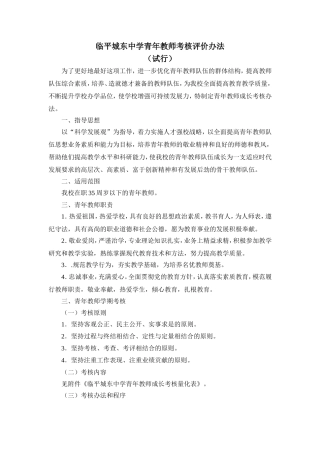 青年教师考核评价办法