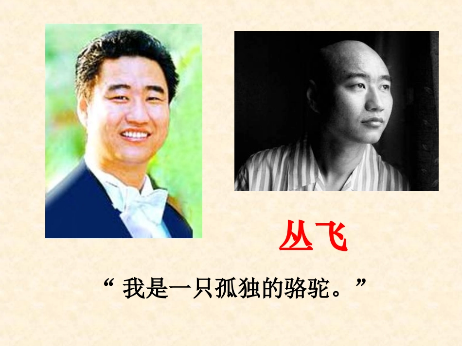 骆驼寻宝记课件_第1页