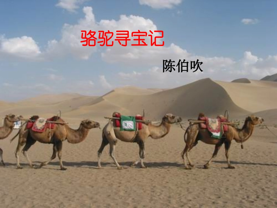骆驼寻宝记课件_第2页