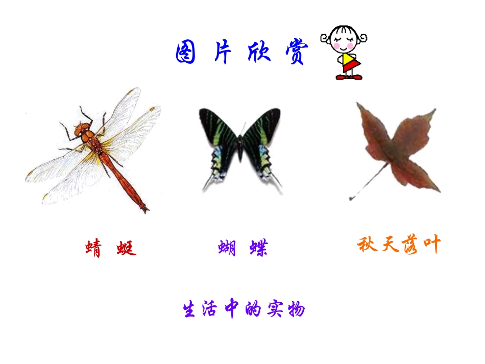 人教版五年级轴对称图形幻灯片_第3页