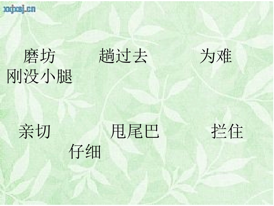 小马过河课件定稿_第3页