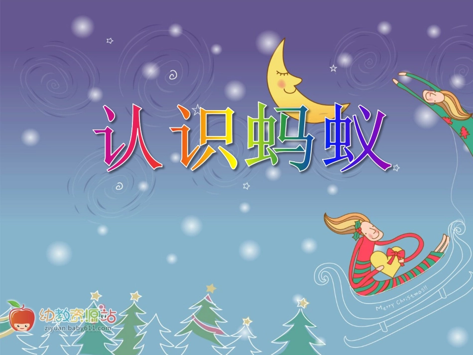 PPT课件--认识蚂蚁_第1页