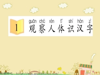 观察人体识汉字_课件